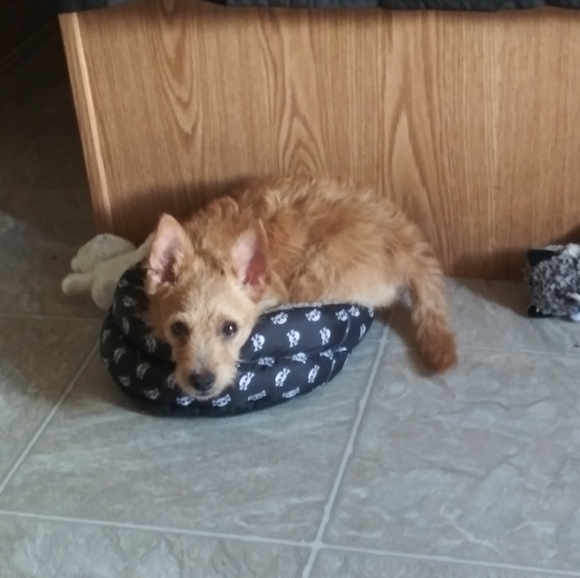 Hi I'm Jessicat!! a Trusted 5-Star Seller with Over 100 Sales!!! - Picture 6 of 12